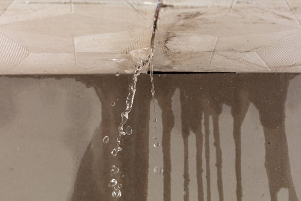Professional Water Damage Inspection technician working in Riverview, FL